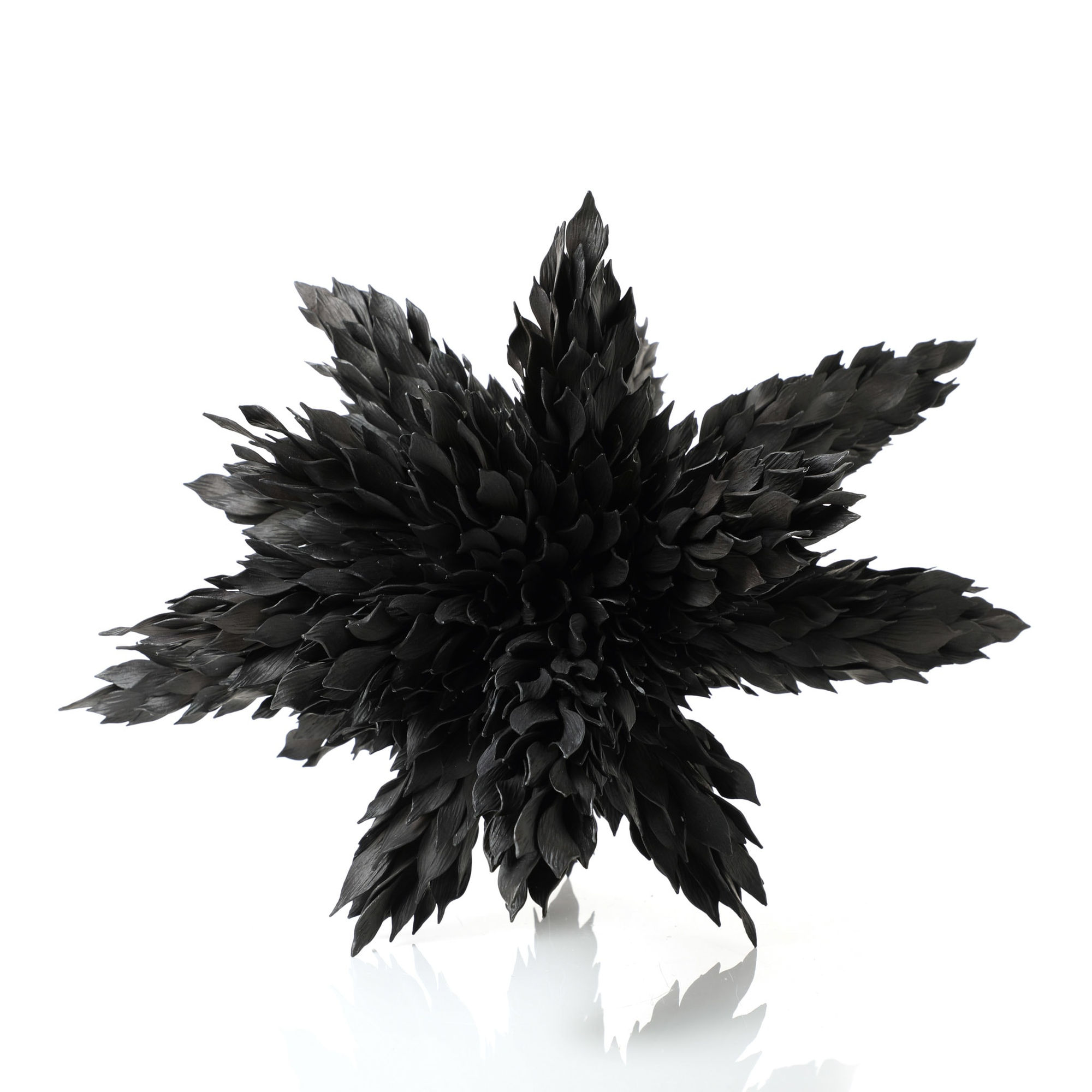 Junko Mori, Propagation Project; Multiple Textured Leaf, 2020