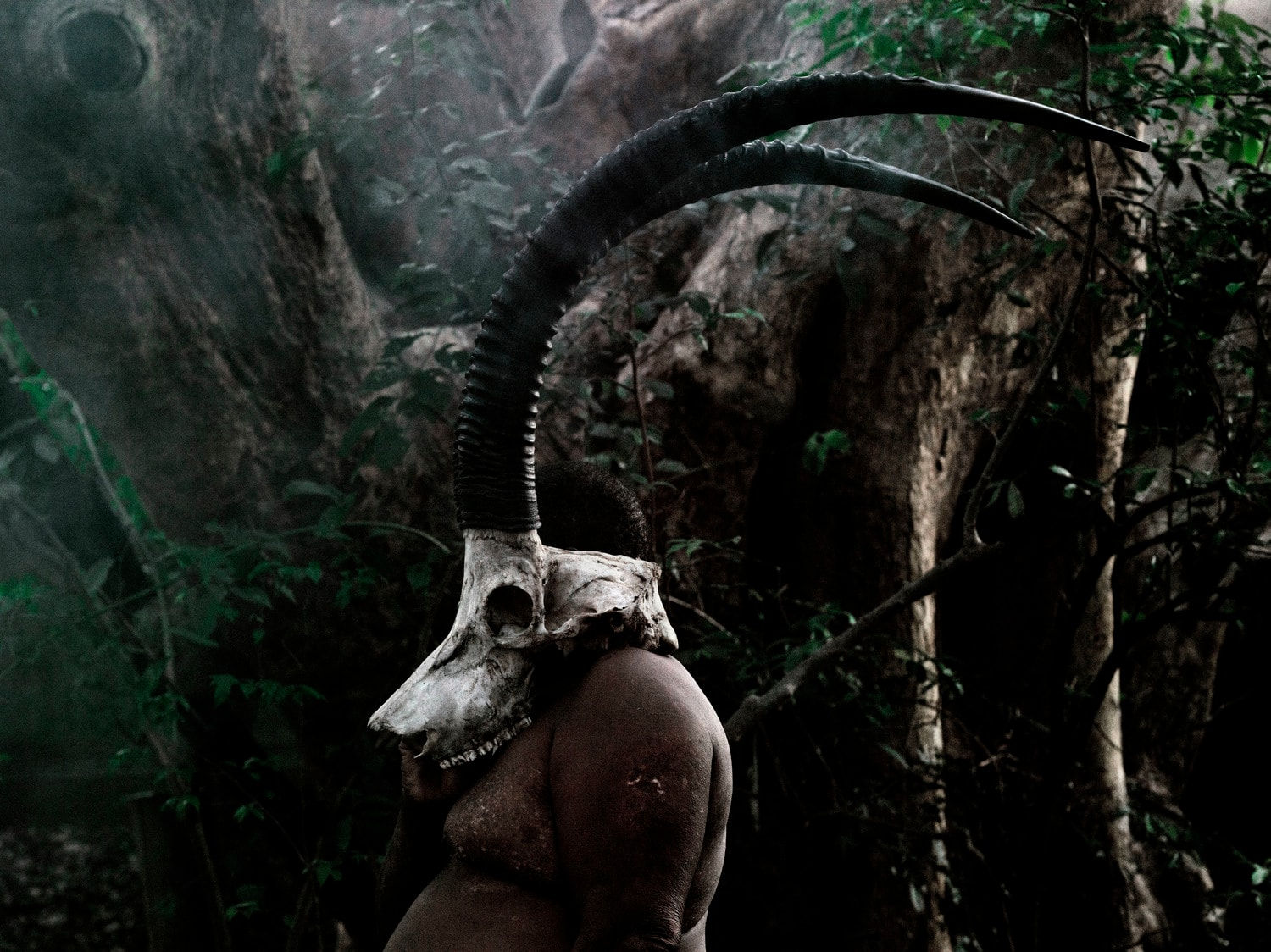 Filipe Branquinho, Bestia II, 2020