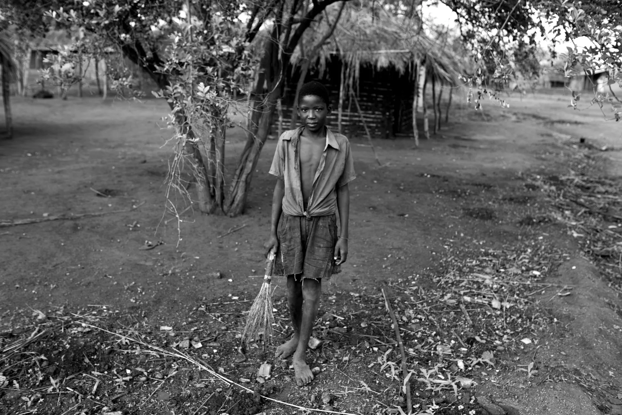 Mario Macilau, Untitled