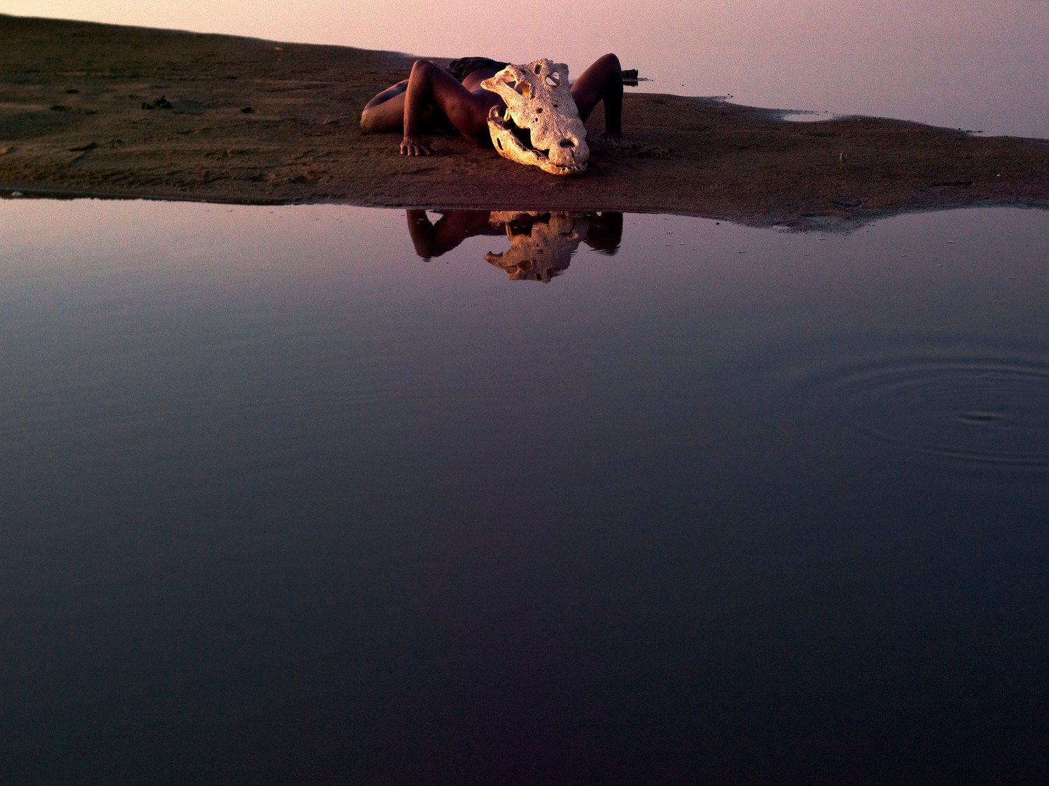 Filipe Branquinho, Bestia I, 2020