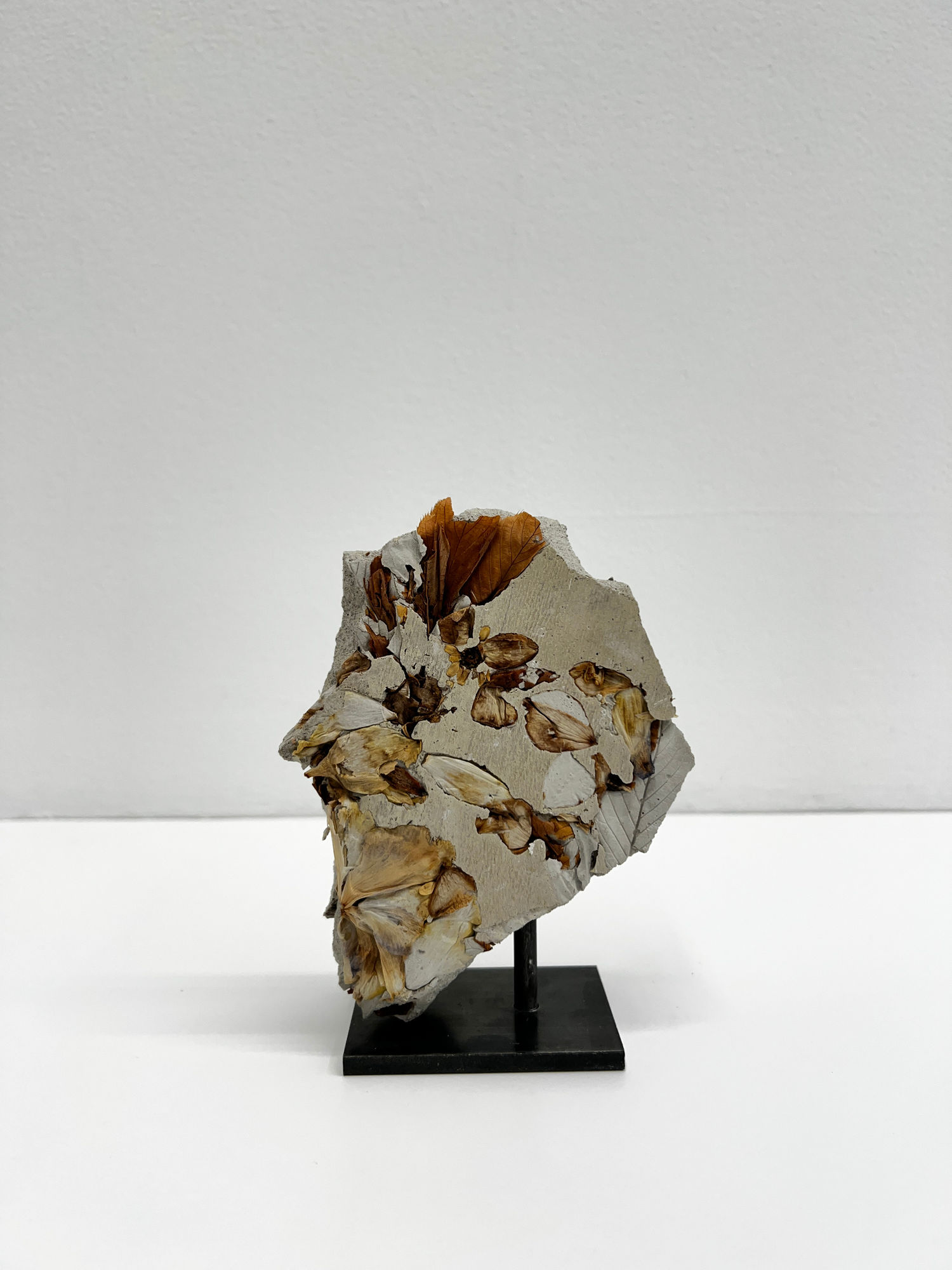 Motohiro Takeda, Souvenir, 2023