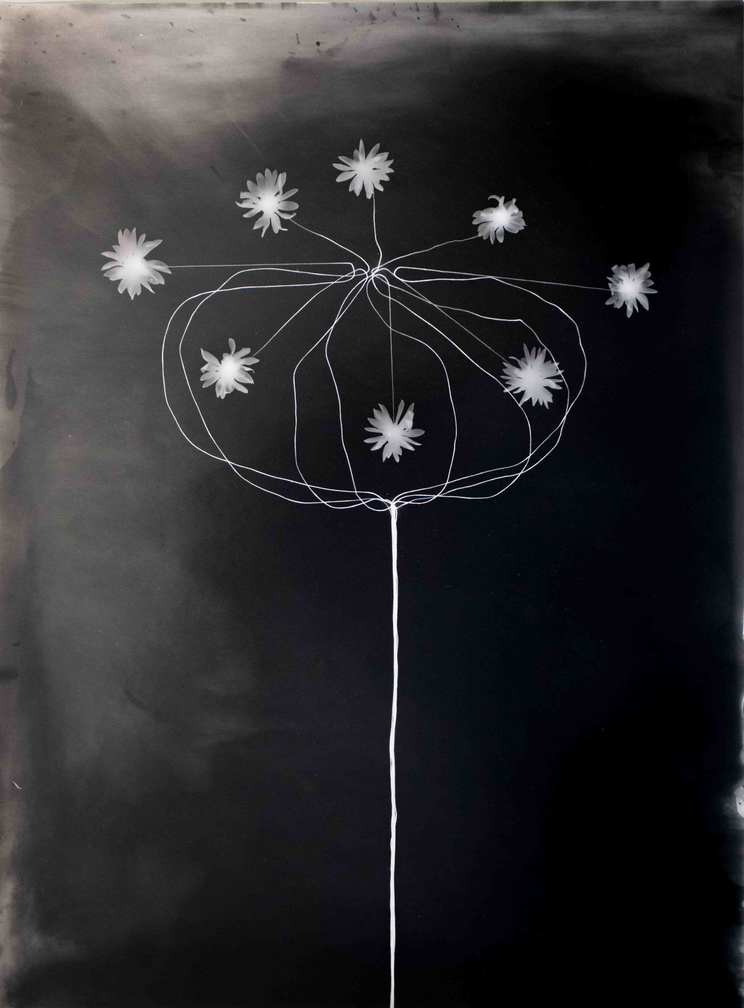 Kunié Sugiura, Filaments D, 1999