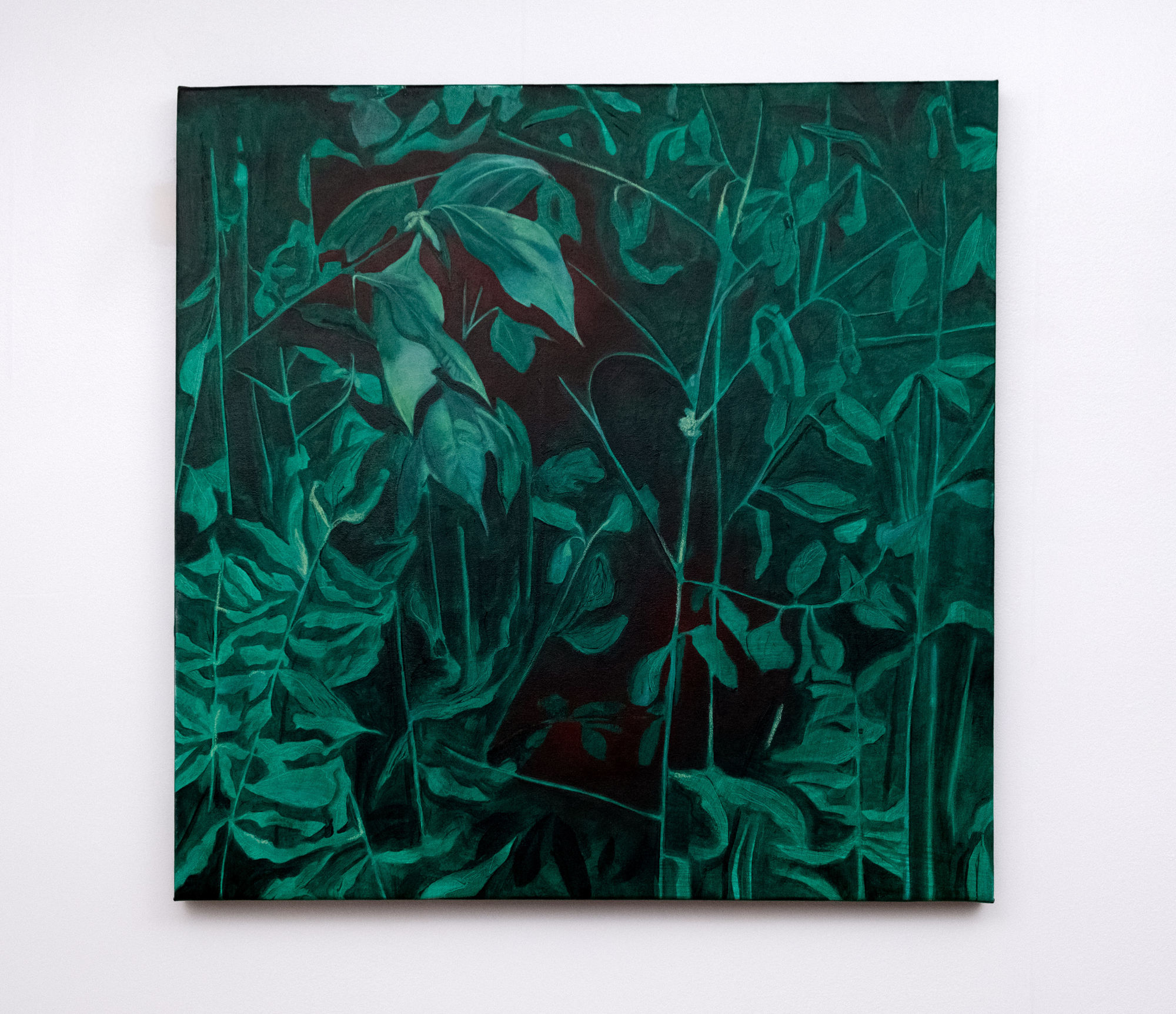 Katarina Holbrough, We Collect, 2024