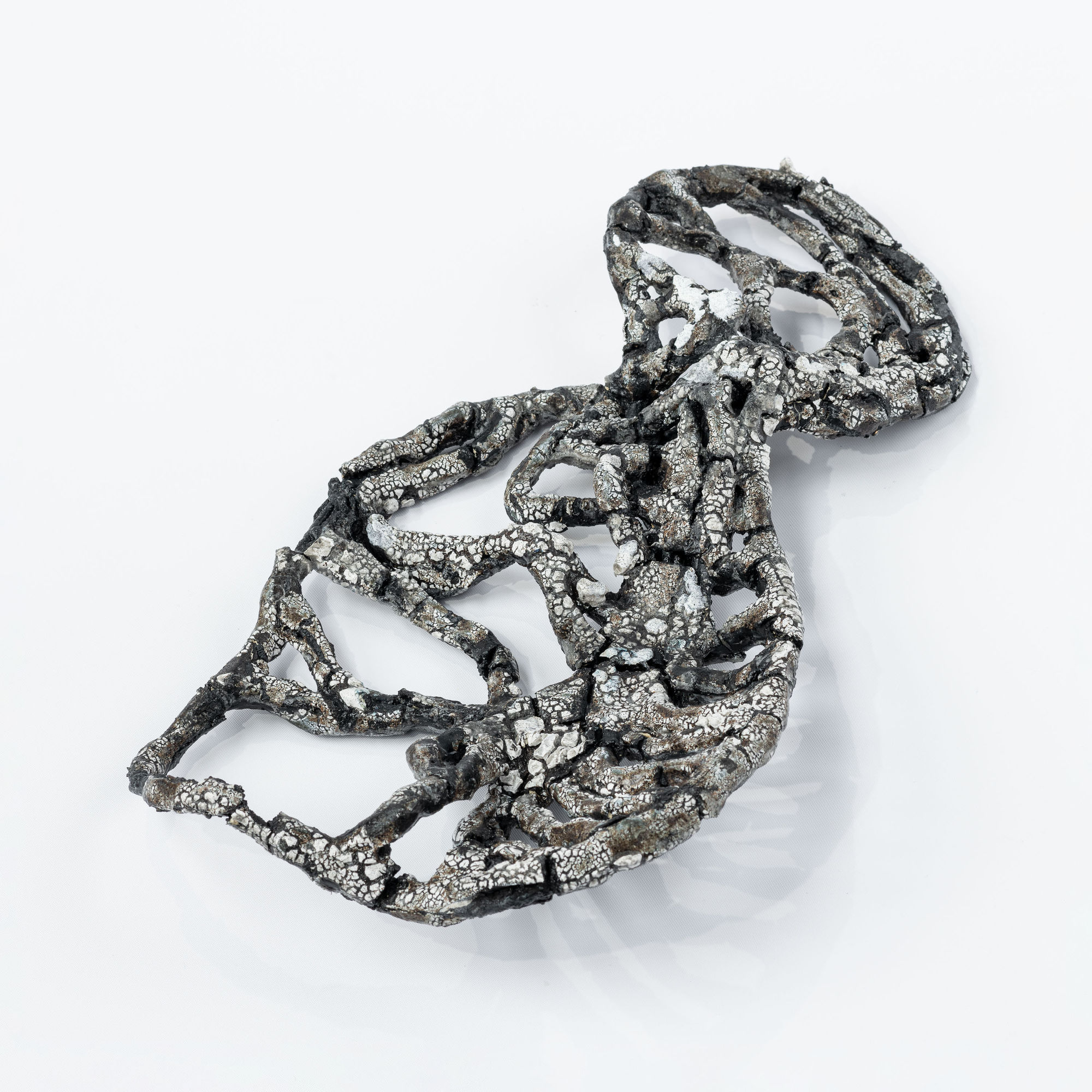 Rebecca Appleby, Foetal