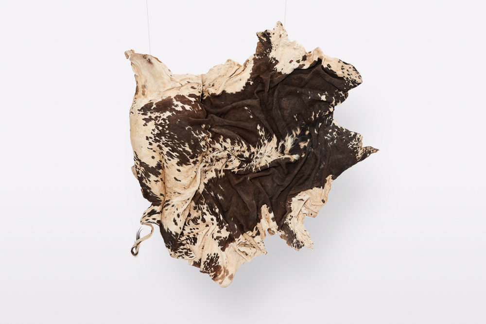 Nandipha Mntambo, Eros, 2015