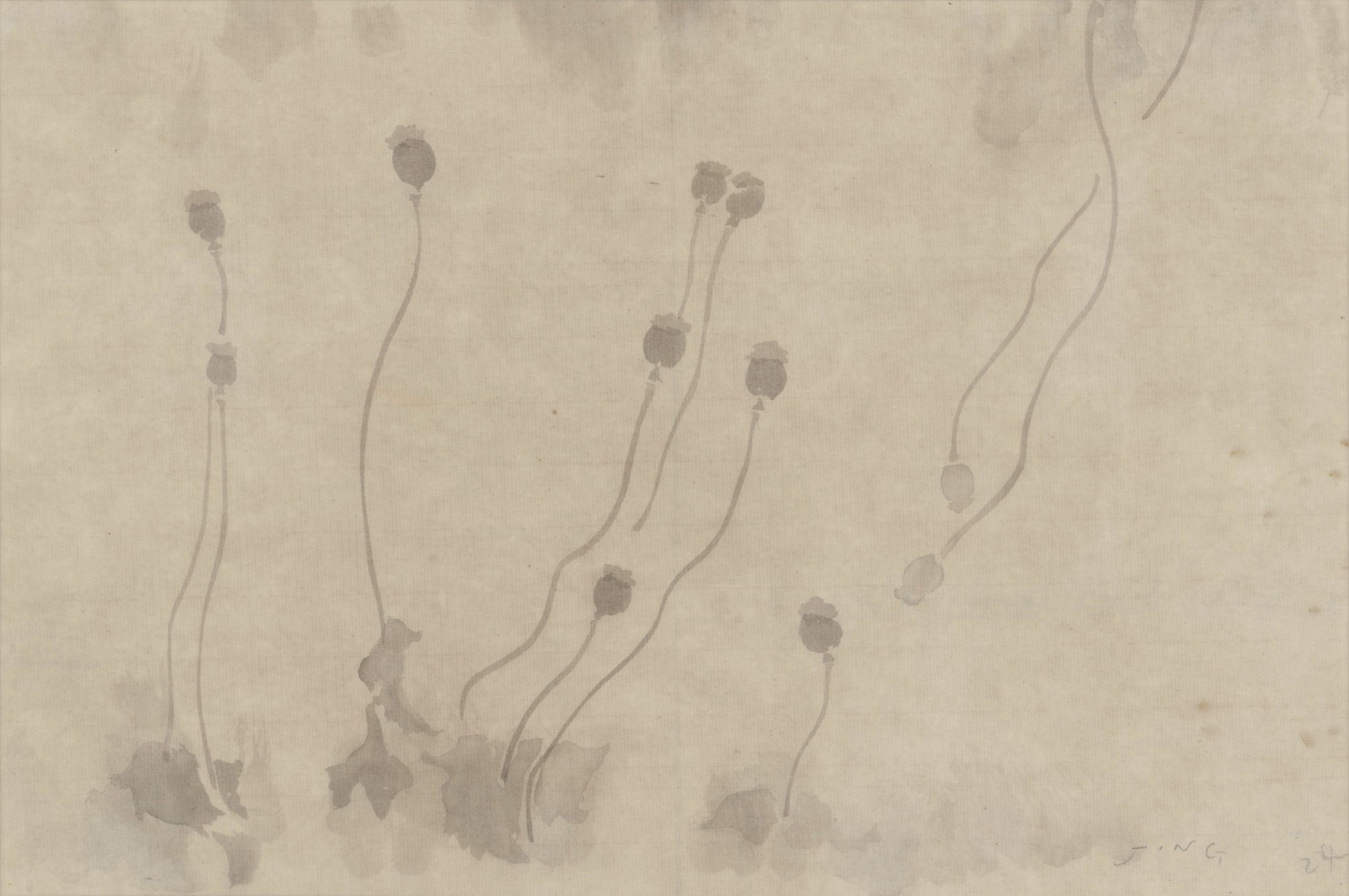 JING Shijian, Poppy 罂粟, 2019