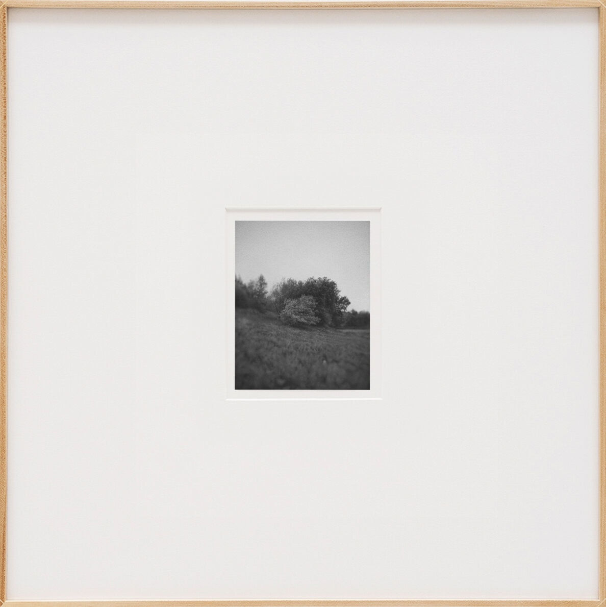 Iván Franco Fraga, Galicia 1920, 2023