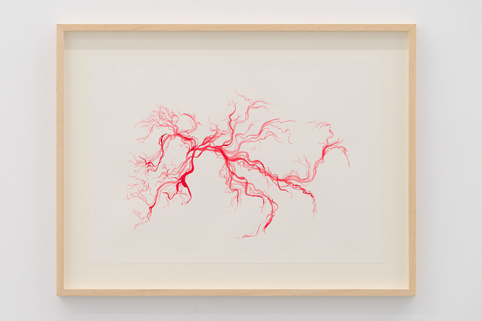 Magdalena Pelmuș, Blood Map (IV), 2023