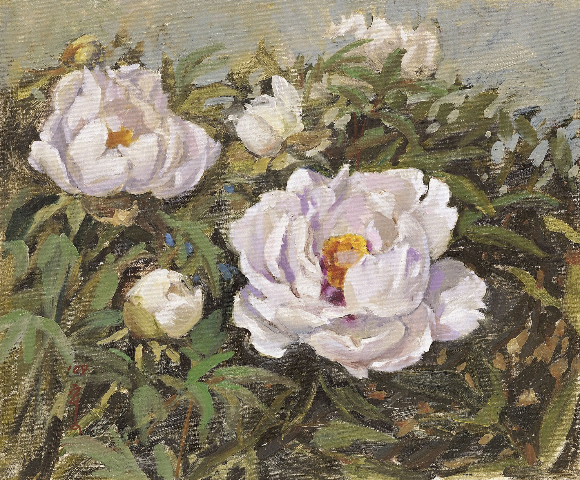 이우자, 백모란, 2009