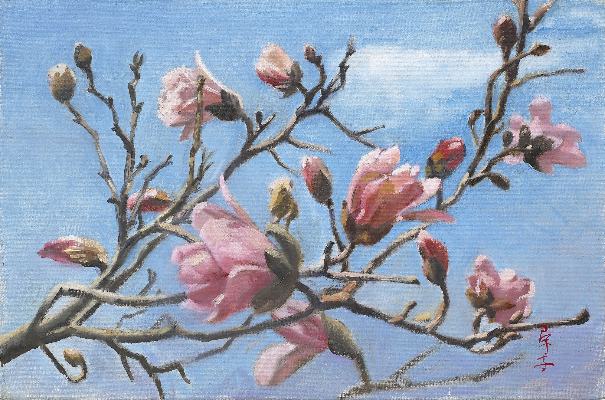 이우자, 분홍목련, ,