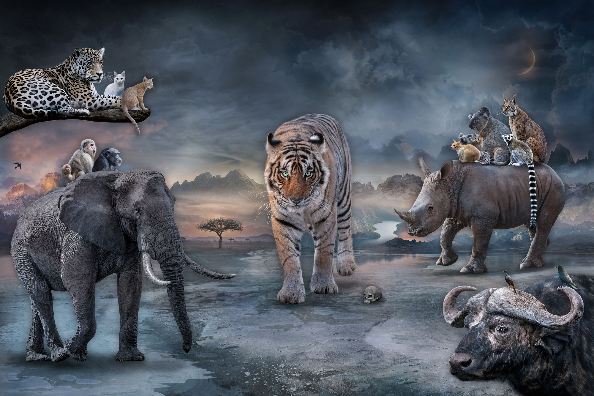 Marcin Owczarek, PROTECTORS OF WILDHEARTS, 2023