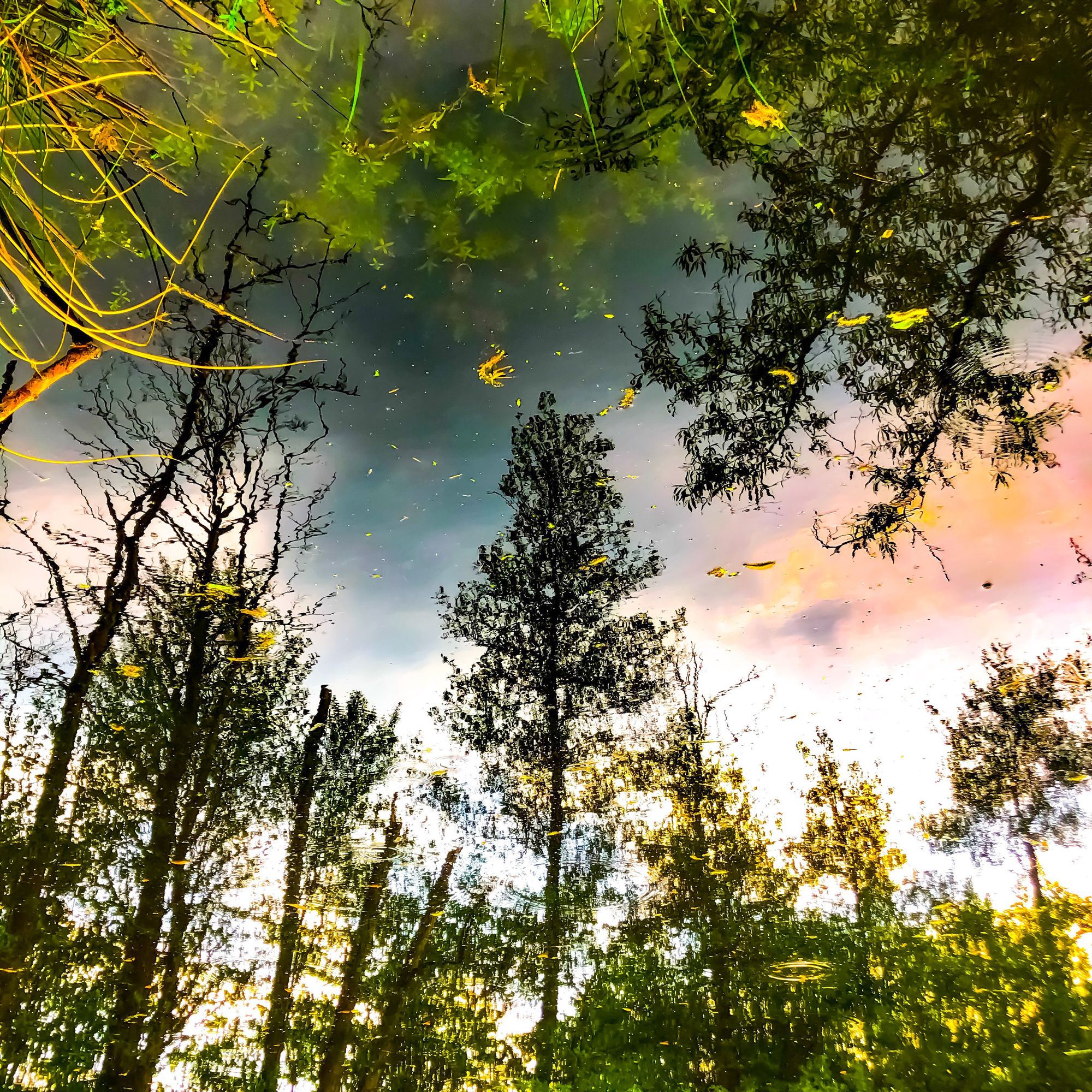 Astrid Lowack, Stilles Erwachen, 2023