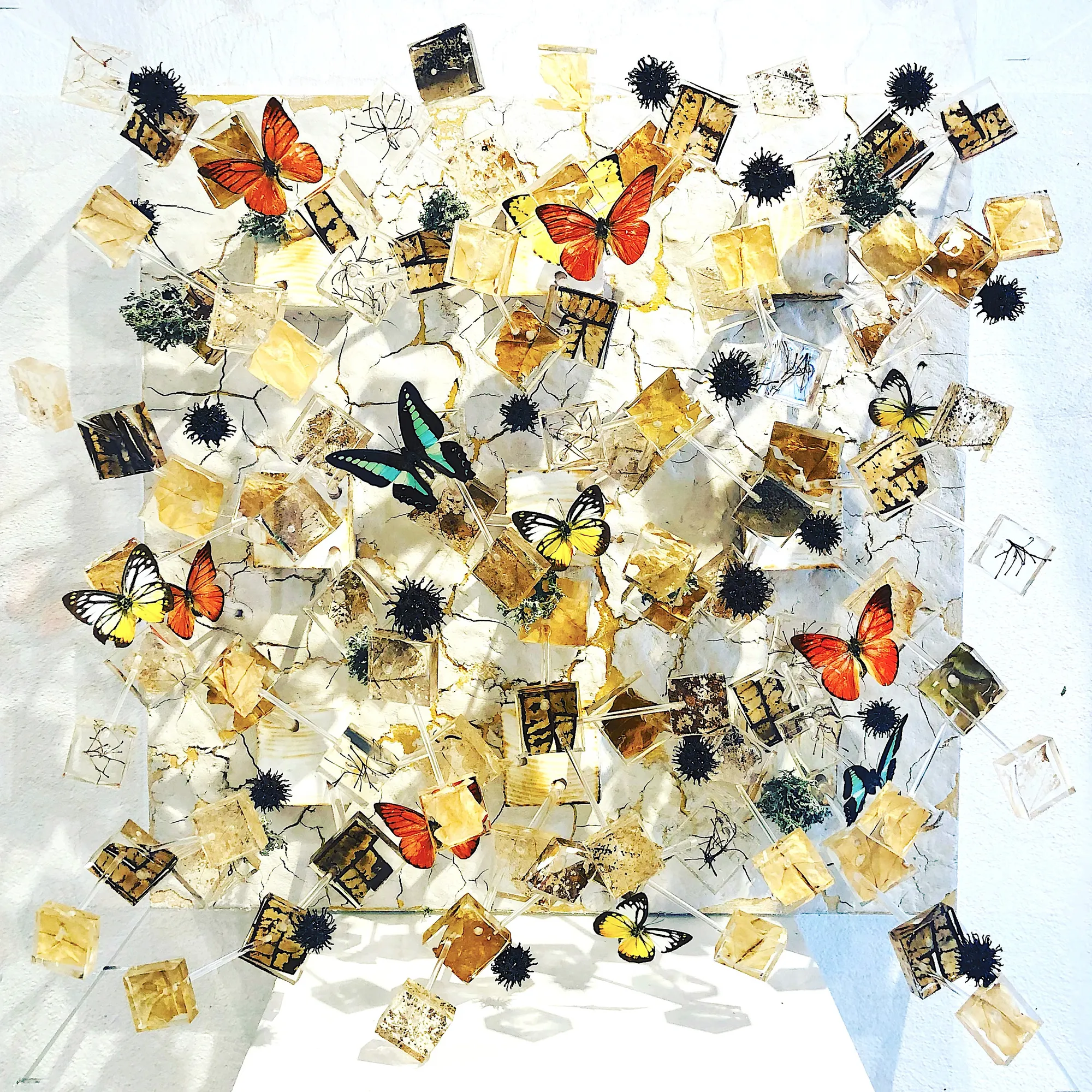 ROD and the Domestic Partner, Butterfly Effect #2, 2021