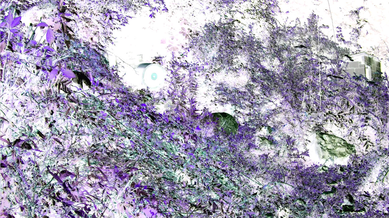 陈萧伊 Chen Xiaoyi, 心跳:风吹草动 Heartbeat: Wind sways grass, 2021