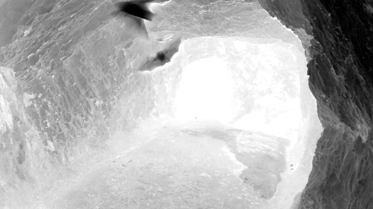 陈萧伊 Chen Xiaoyi, 心跳:鸟巢 Heartbeat: Bird’s Nest, 2021