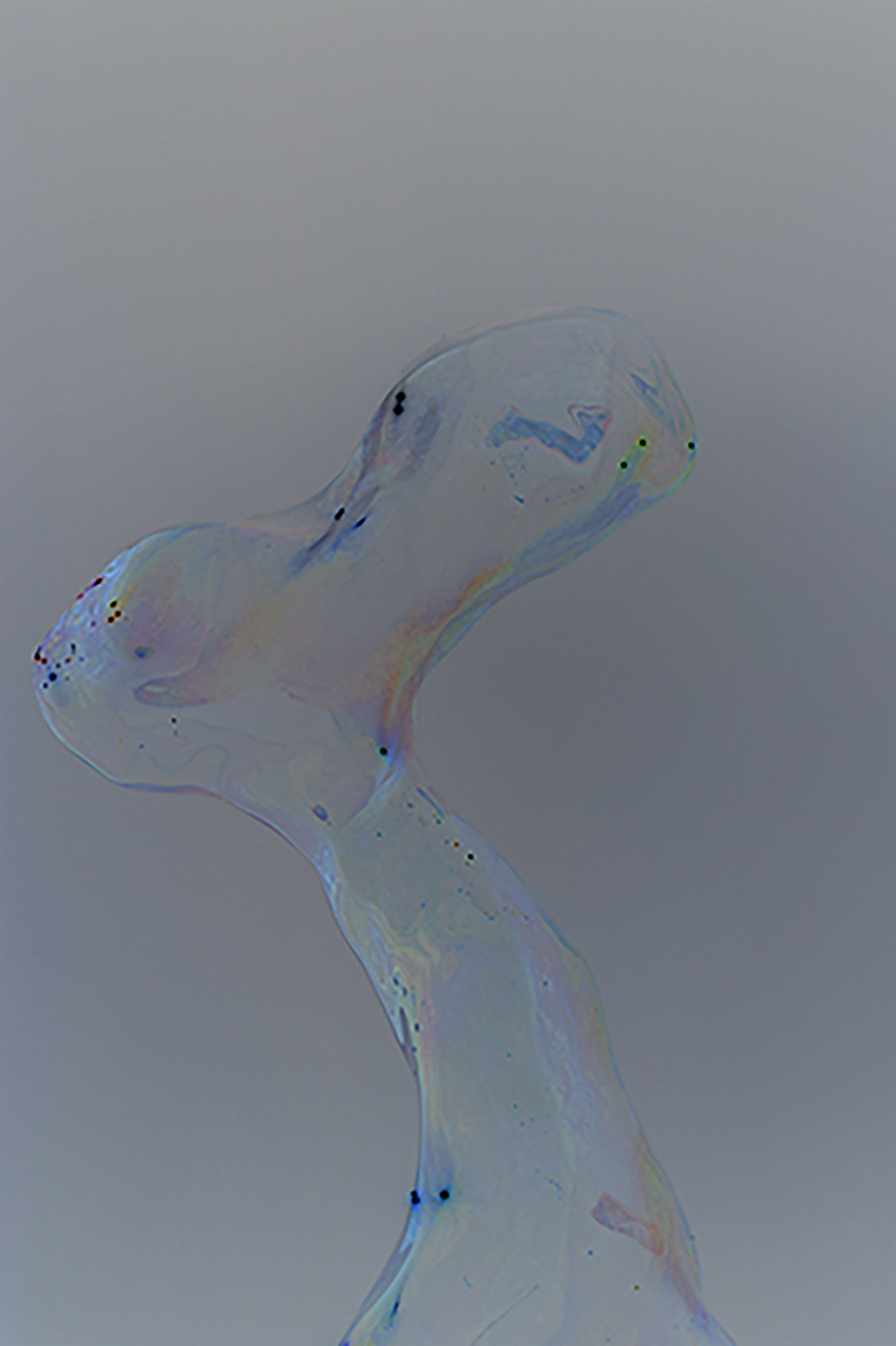 陈萧伊 Chen Xiaoyi, Foam, Form - Phase II: fa, 2019