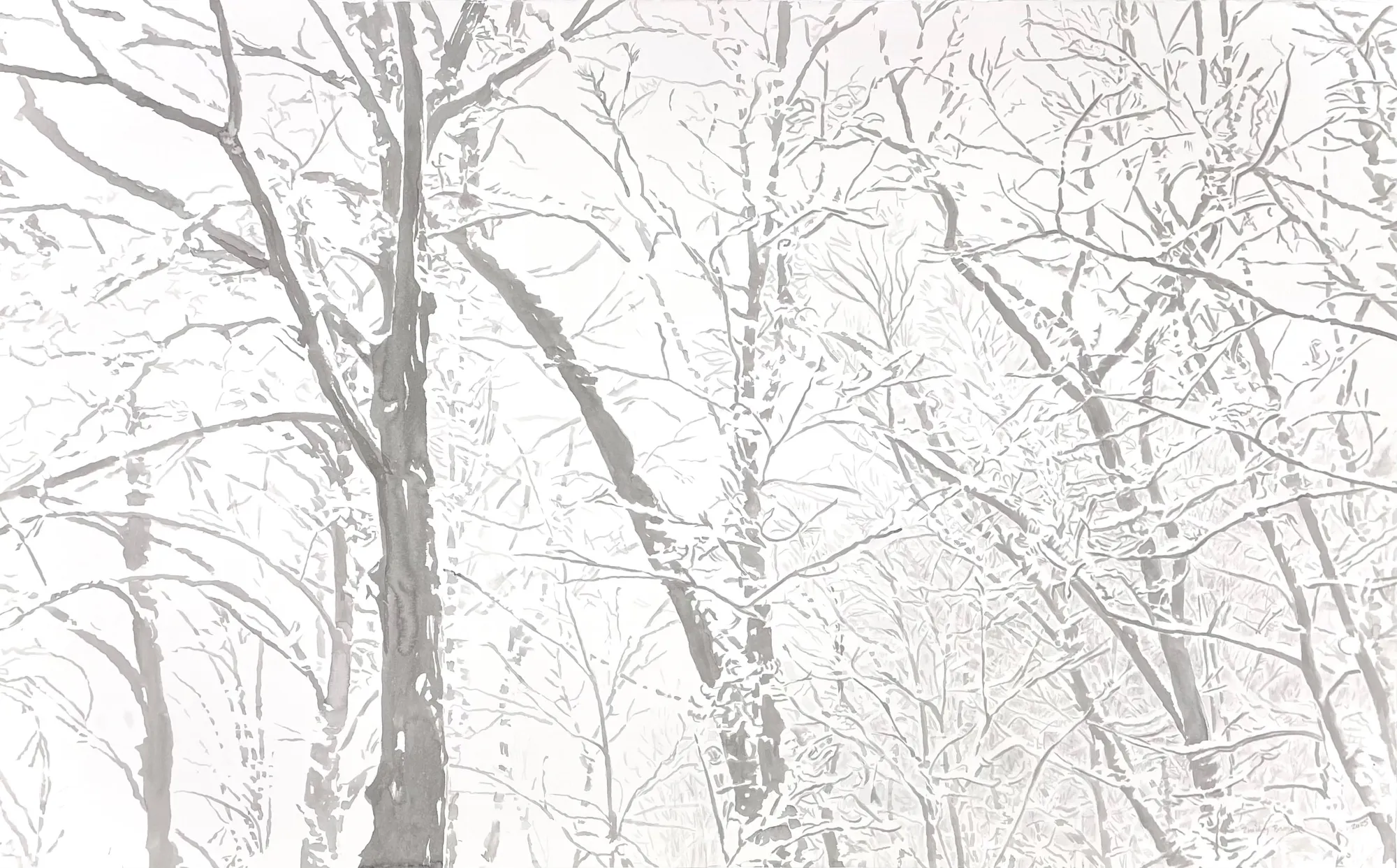 Emily Brown, Treetops, February, 2025