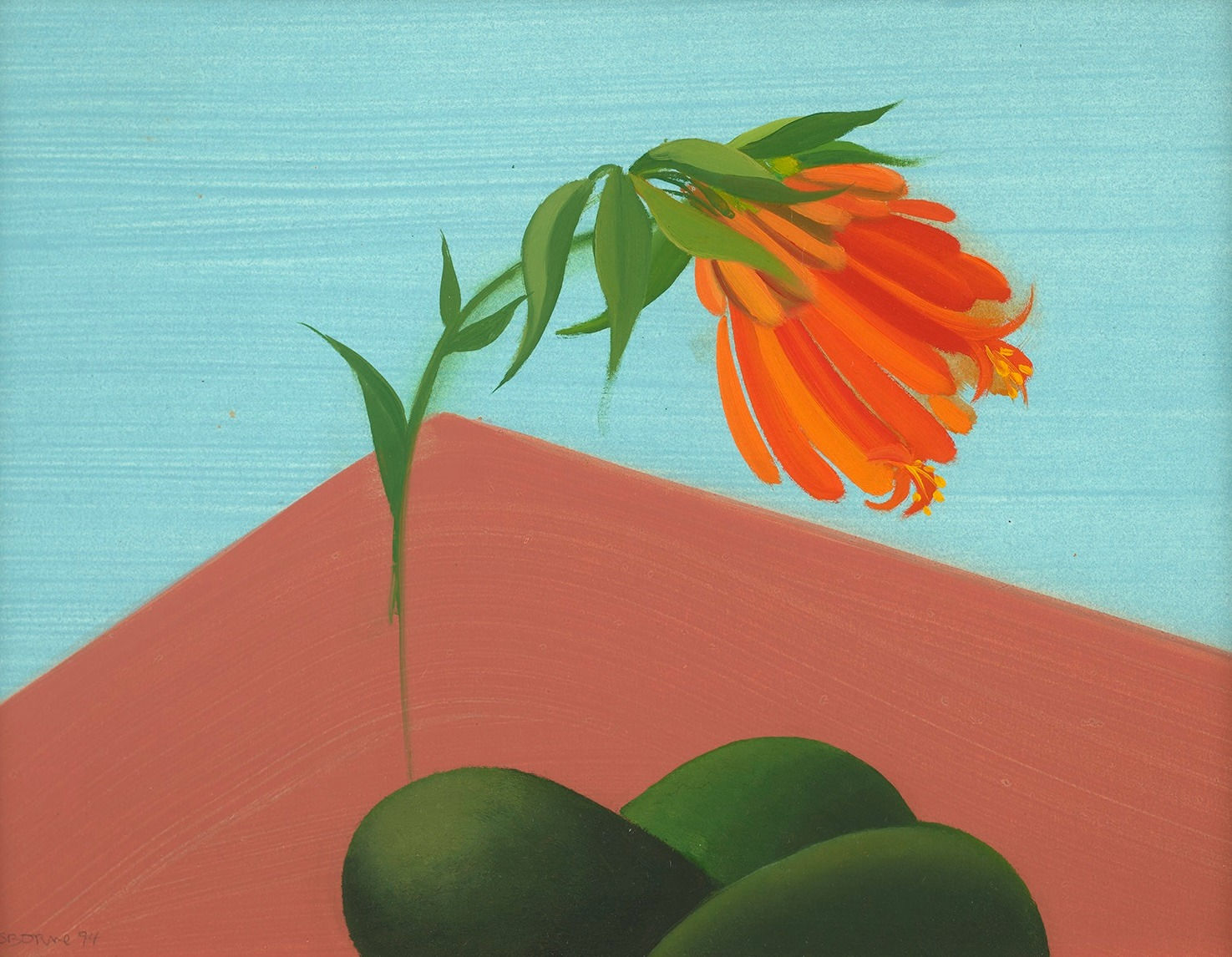 Elizabeth Osborne, Mexican Still Life 1 (Avocadoes), 1994