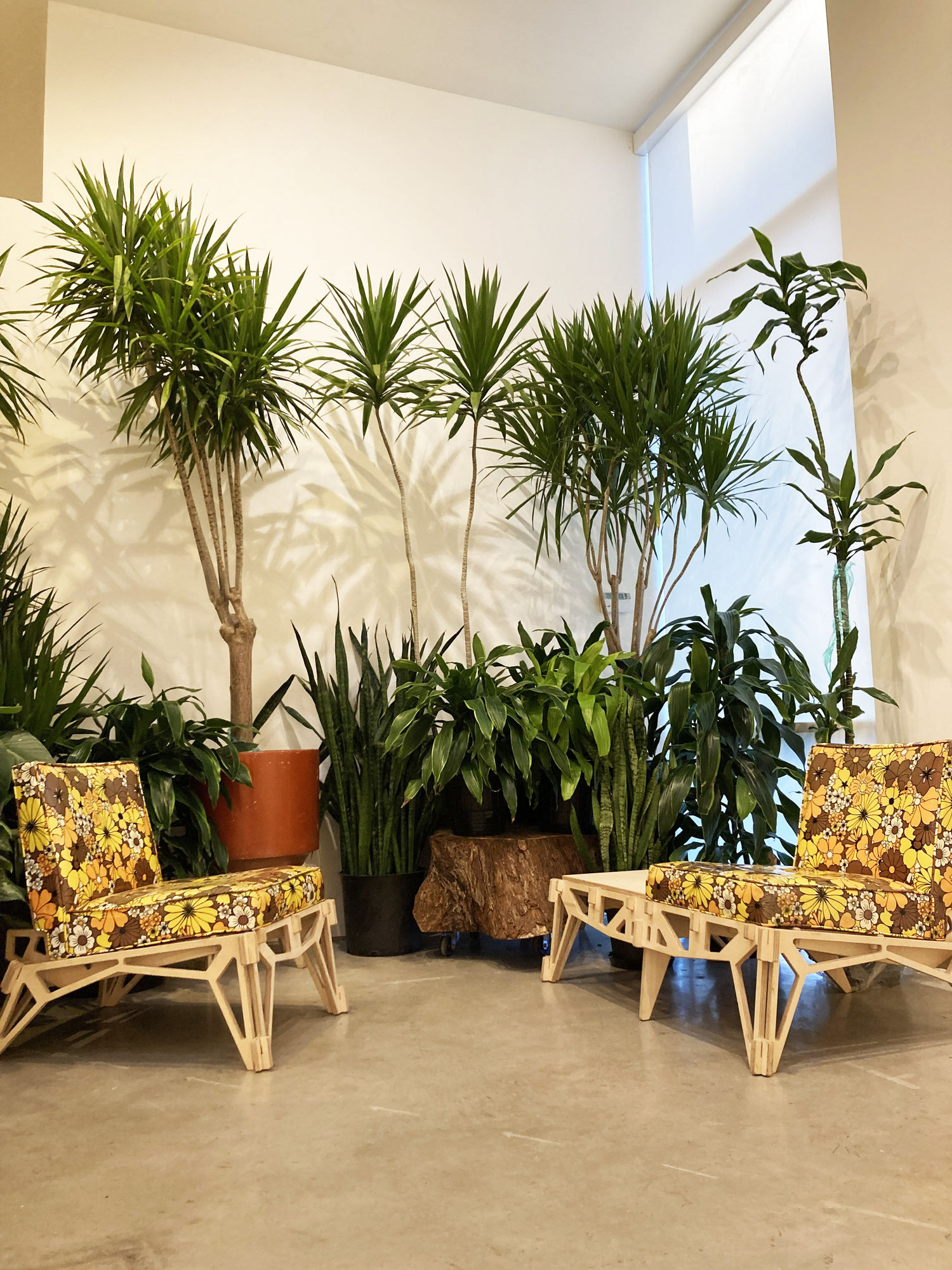 PRESTON GAINES, Untitled, 2022