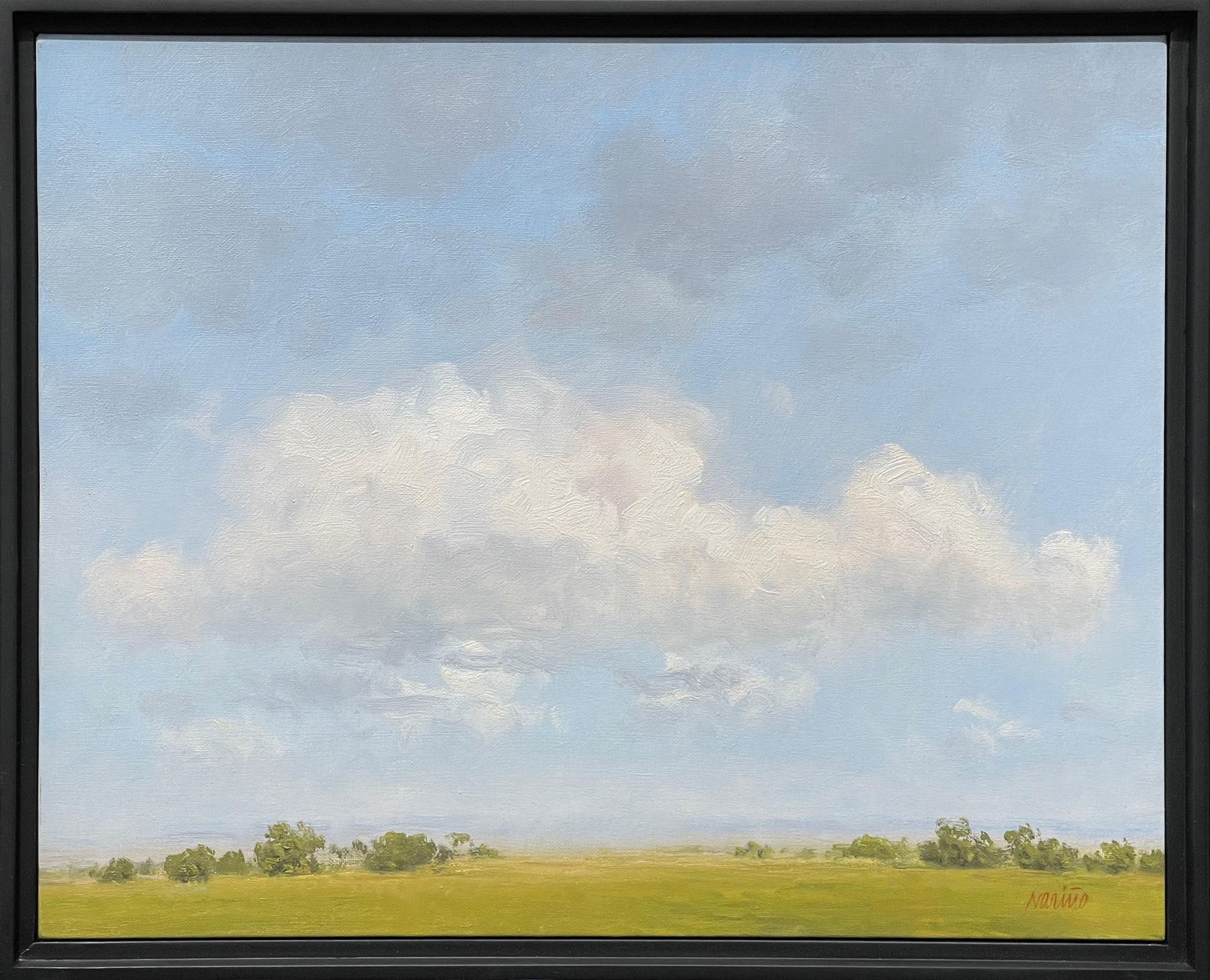 Carlos Nariño, Line of White Clouds, 2024