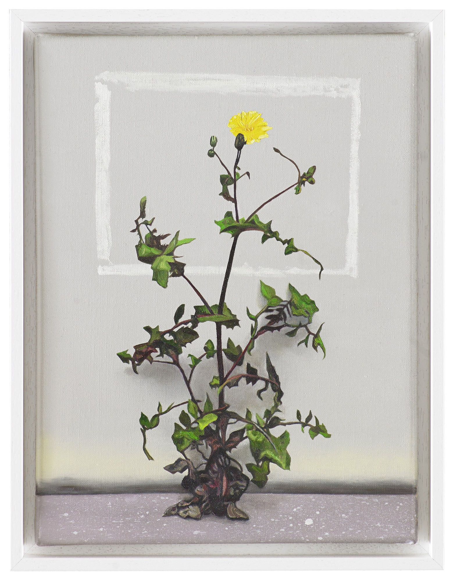 Karen Holländer, Ins Bild gerückt, 2022