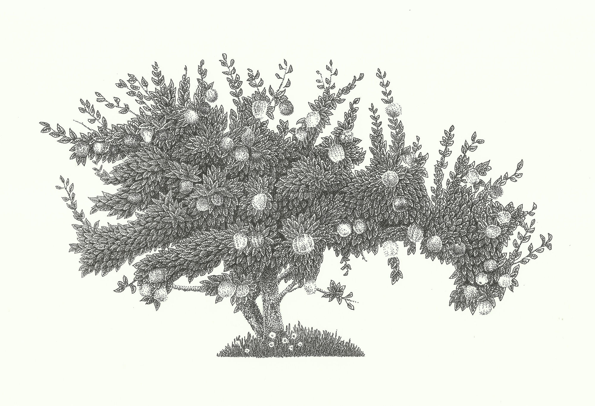 Dea Svensson, People/Places, 2021