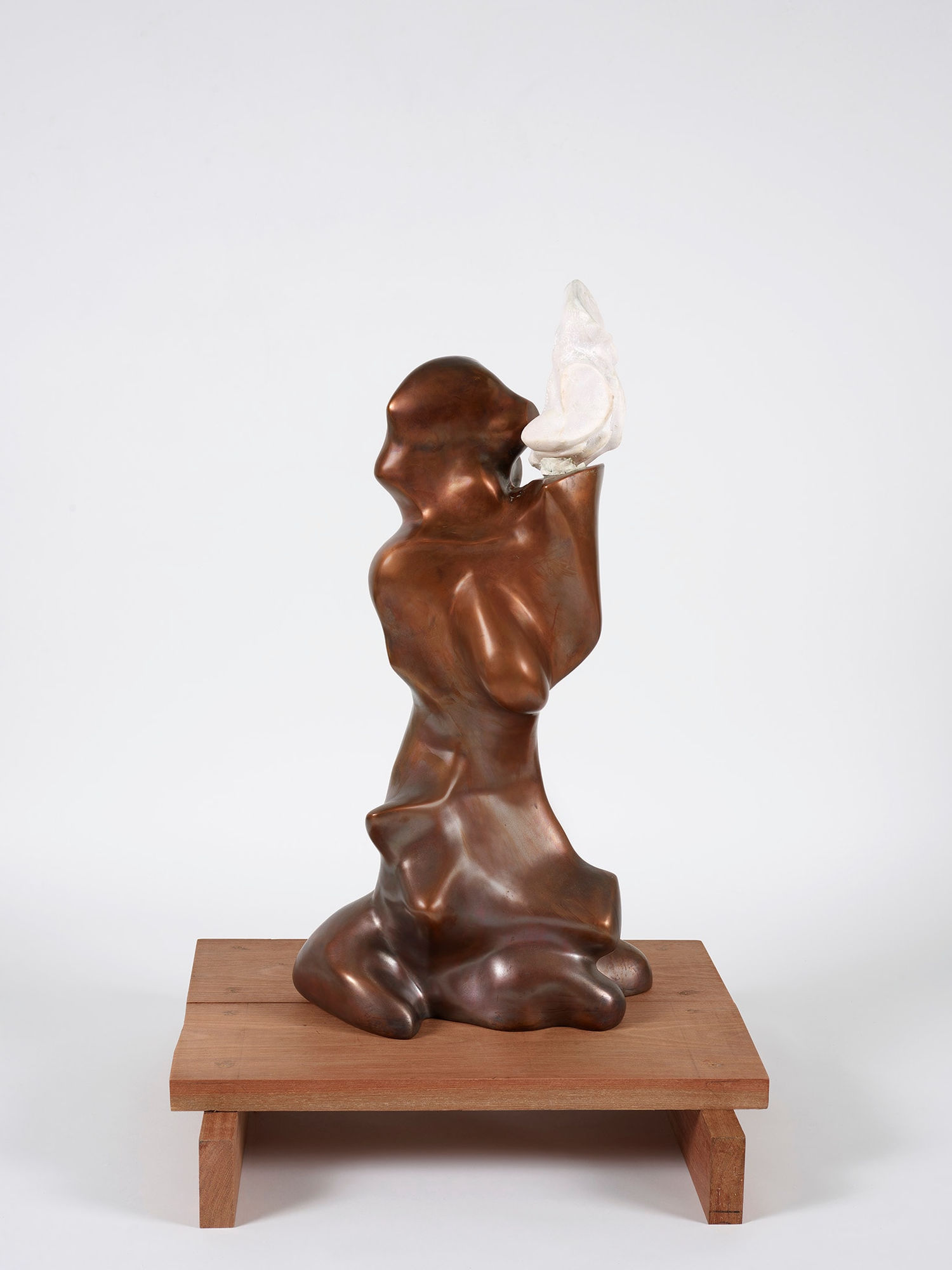 Saint Clair Cemin, Fistiki, 2024