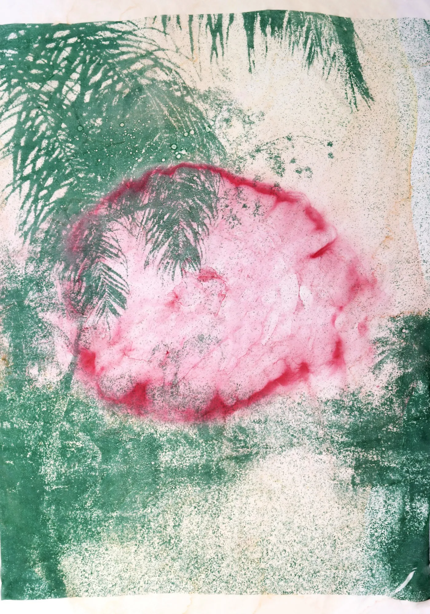 Douglas Mandry, Untitled (Palms II), from the series Les Archives de la Planète, 2025