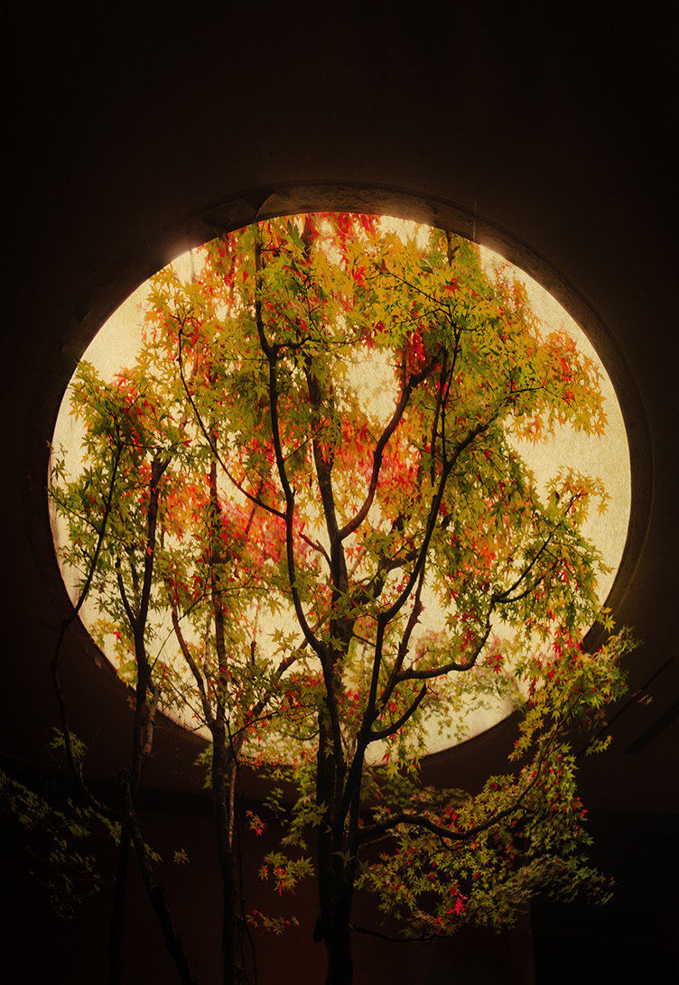 Albarrán Cabrera, The Mouth of Krishna #533, 2016