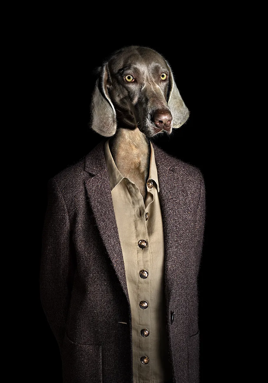 Miguel Vallinas, No. 13 (Princesa)