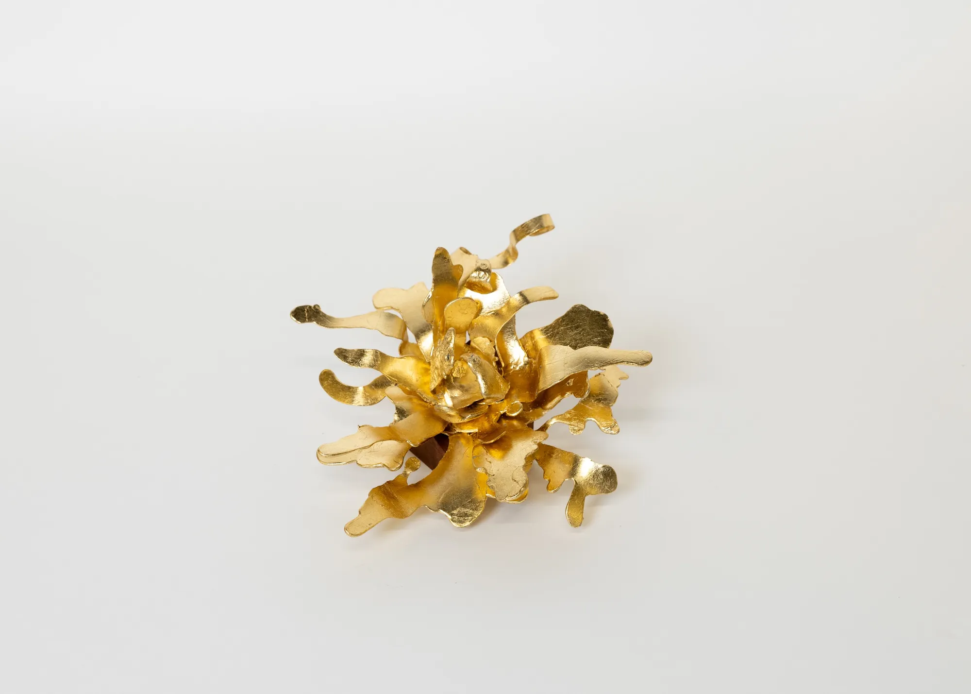 Peter Cochrane, Flower 06, 2025