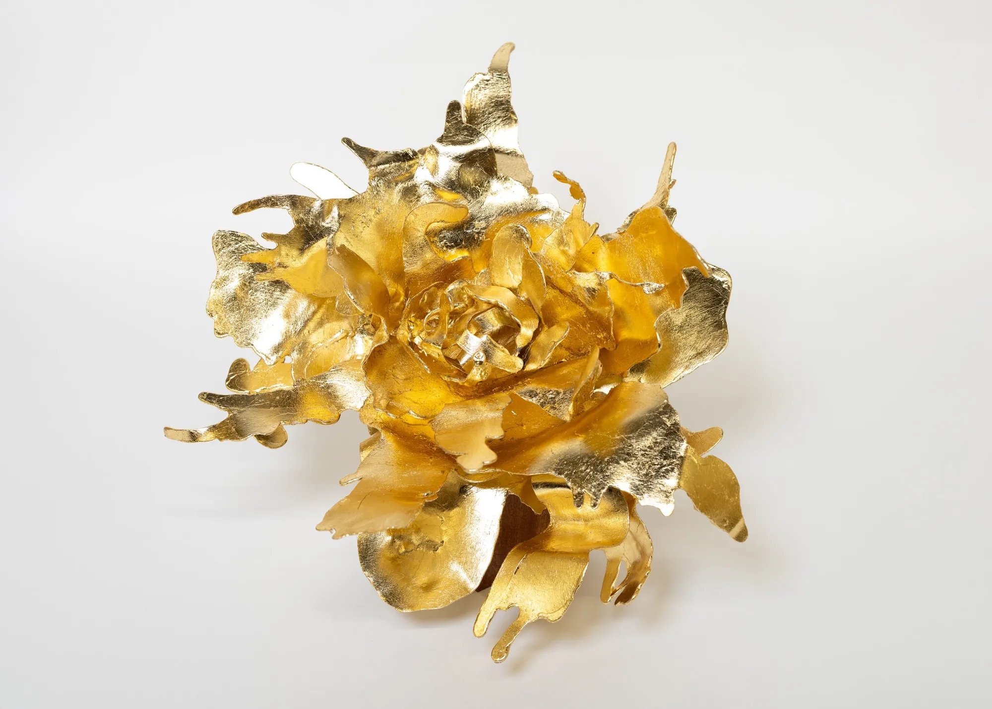 Peter Cochrane, Flower 04, 2025