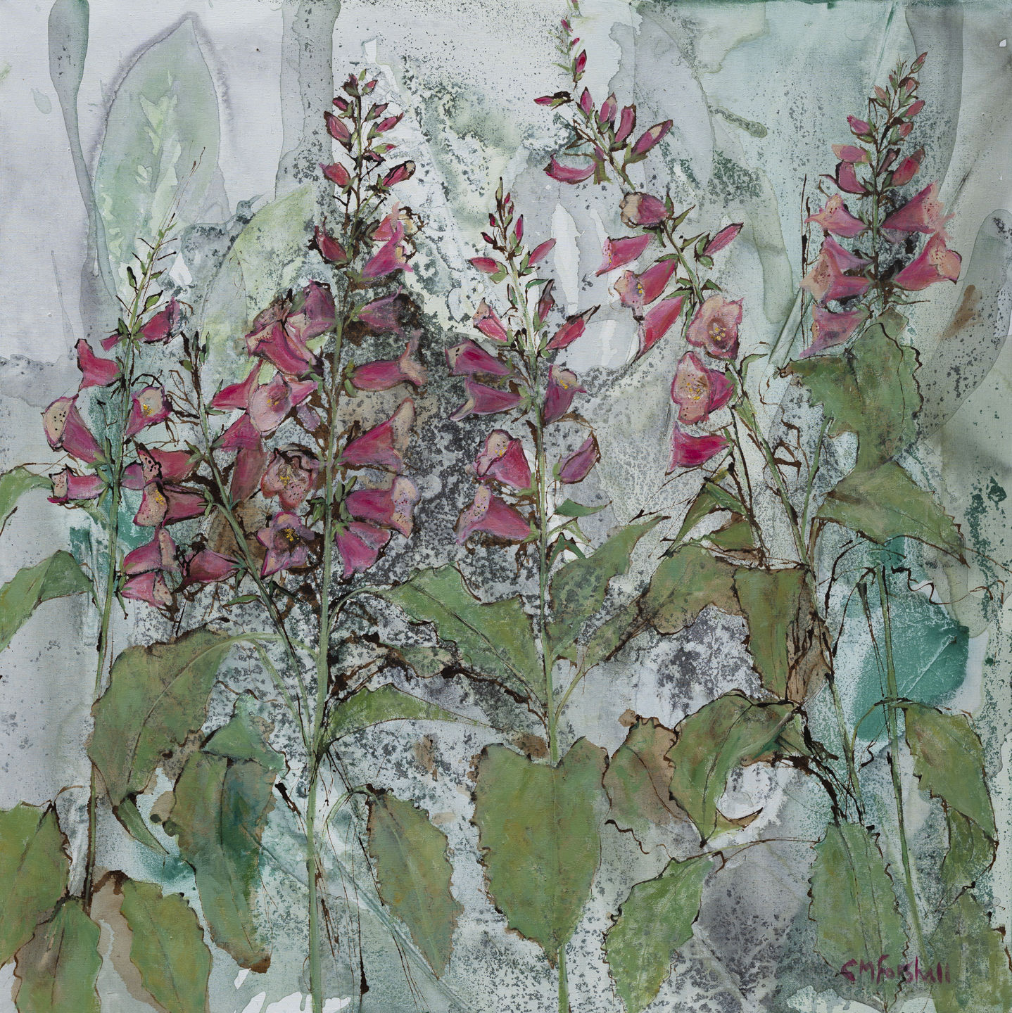 Catherine Forshall, Digitalis , 2019