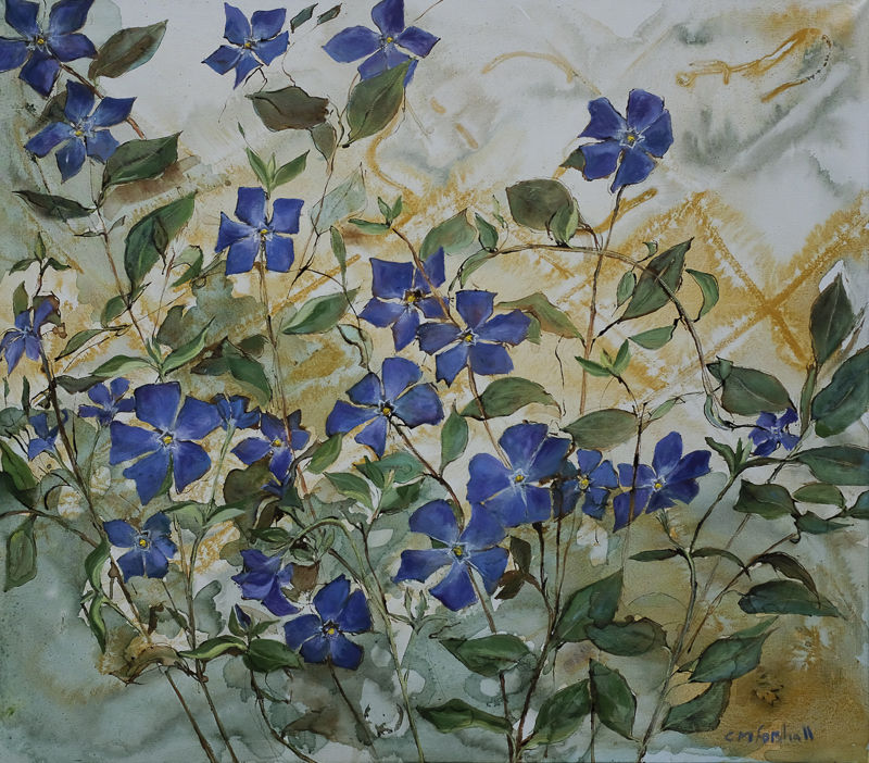 Catherine Forshall, Periwinkles , 2019