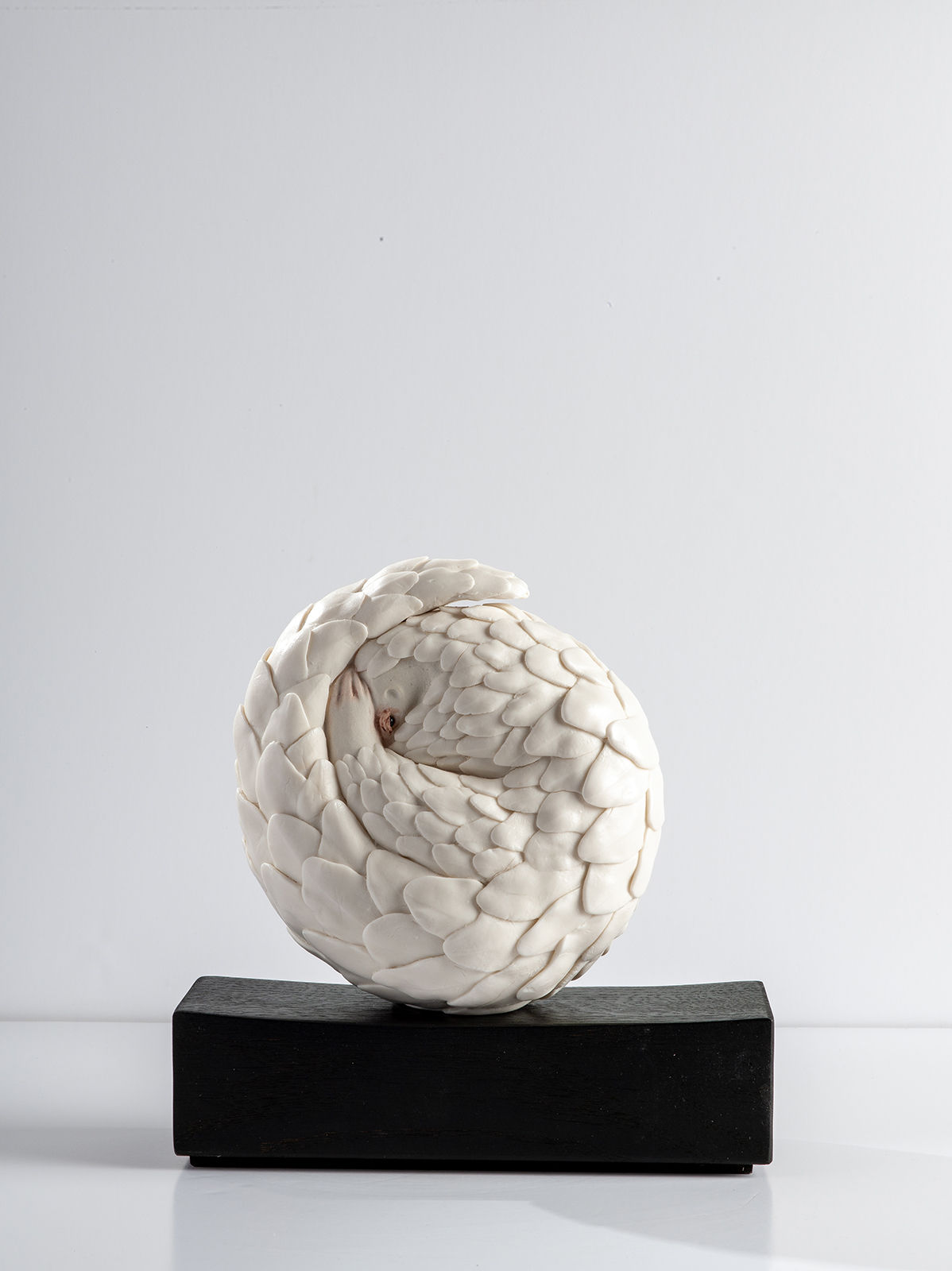 Jennie McCall, Pangolin