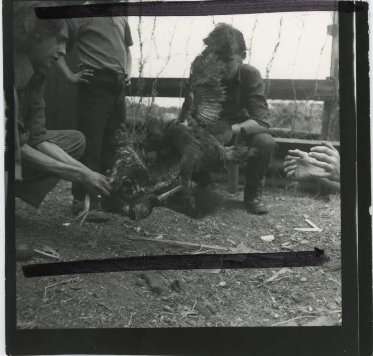 Jo Spence, Contact print - Gypsies, 1974