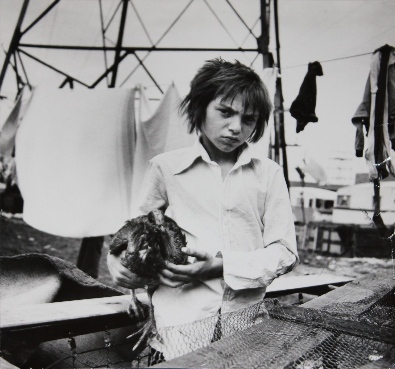 Jo Spence, Gypsies (boy with cock by washing line), 1974