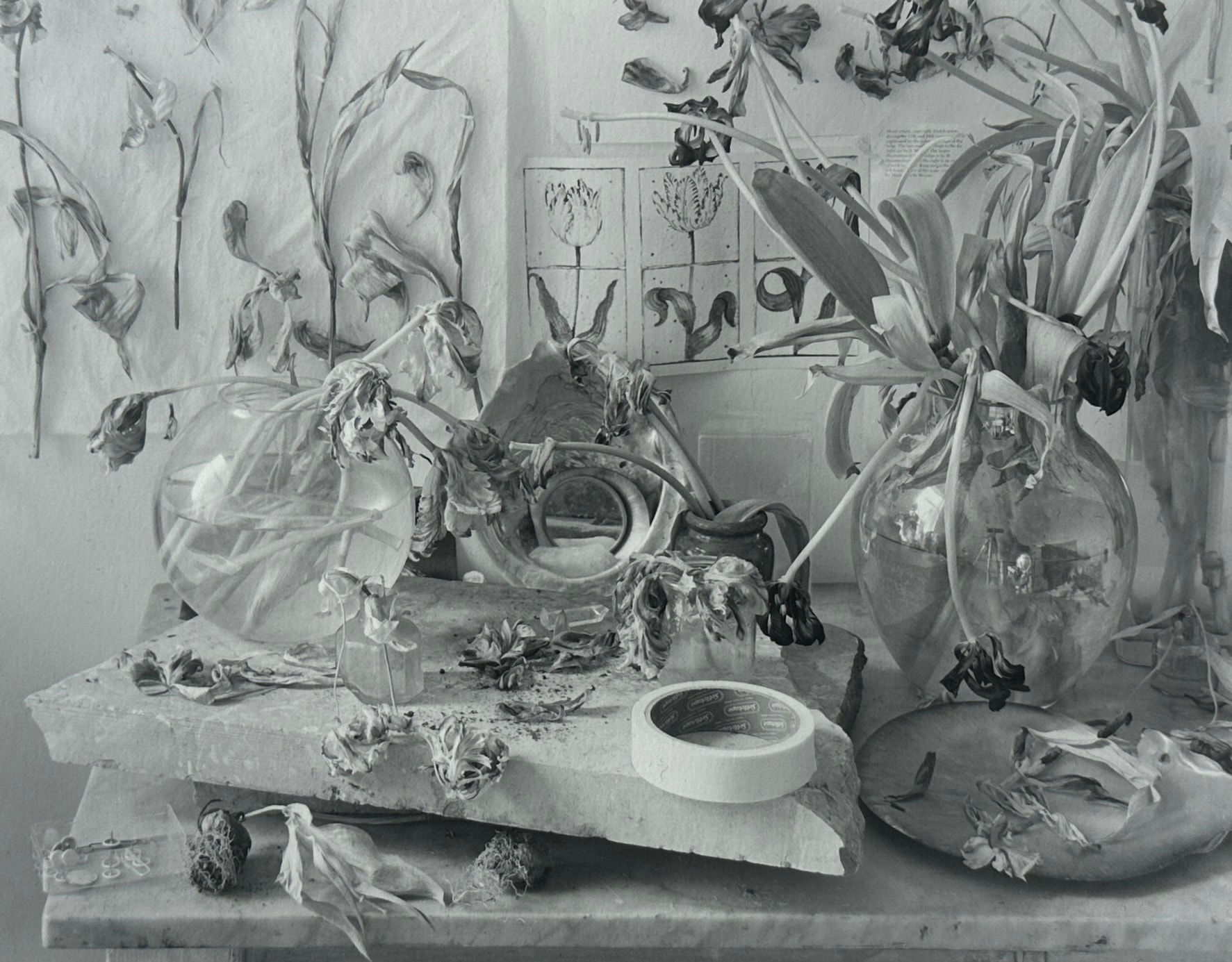 John Blakemore, Tulipa (The Studio Table 3), 1994