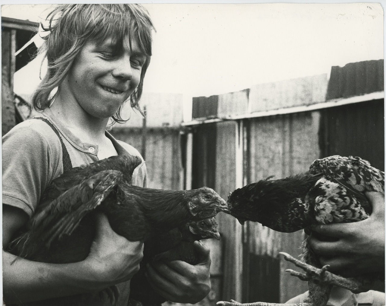 Jo Spence, Gypsies (boy with cock), 1974