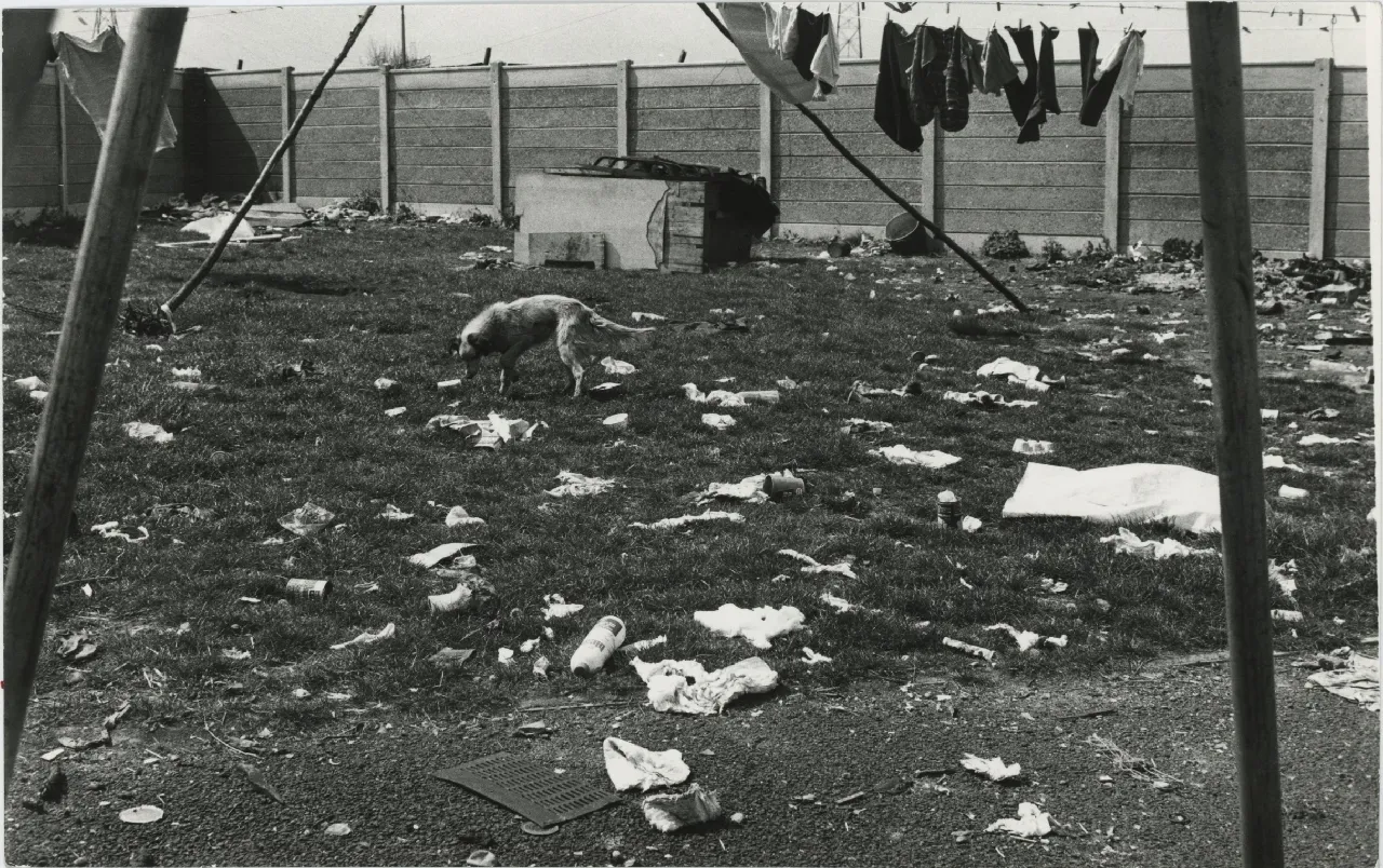 Jo Spence, Gypsies (dog and washing line), 1974