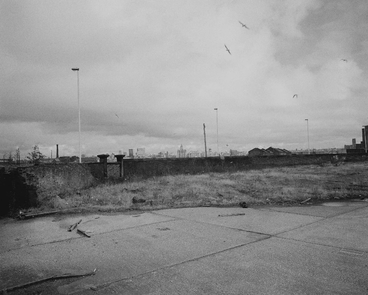 Ken Grant, No Pain Whatsoever, 1990