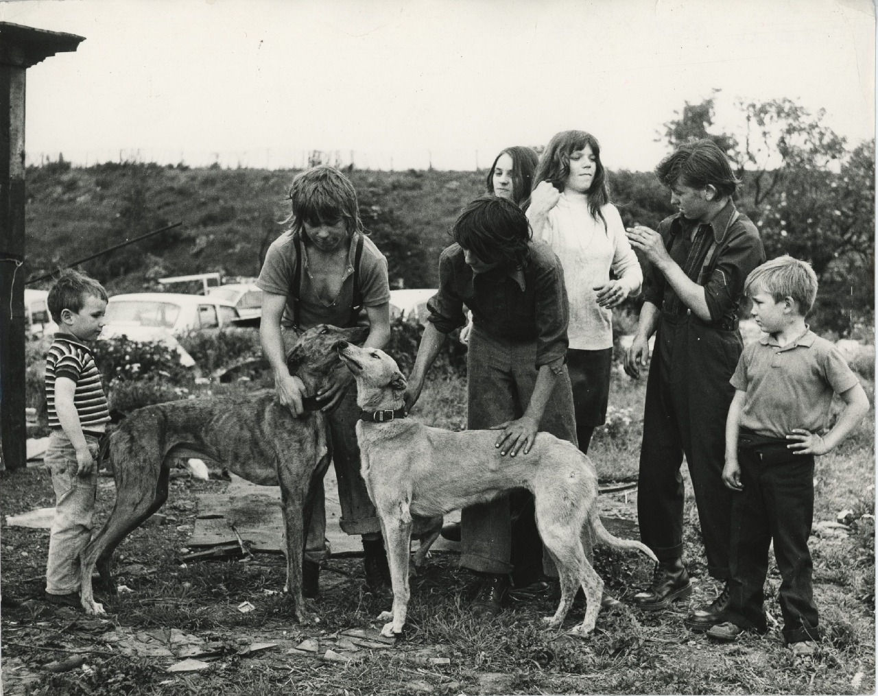 Jo Spence, Gypsies (dogs and people), 1974