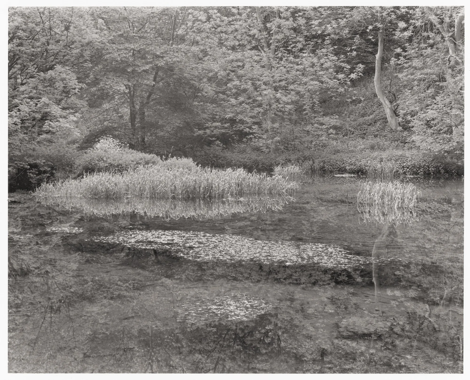 John Blakemore, Lathkill Dale, Derbyshire, 1979, 1979