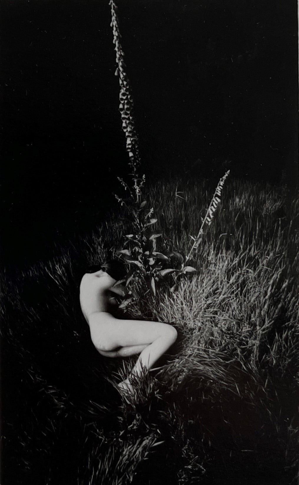 John Blakemore, Nude in Landscape (2), 1971