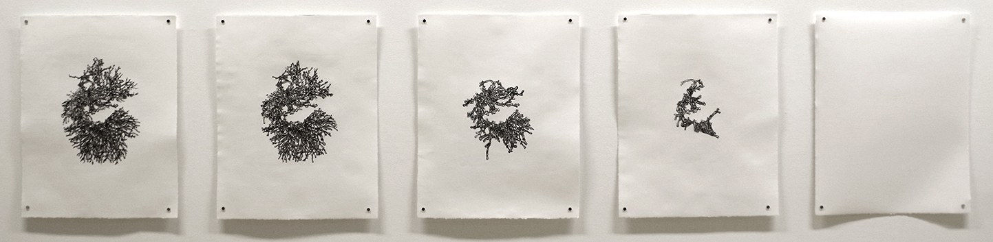 Jodi Le Bigre, Acid, Calcium Carbonate and the Disappearance of the Unseen