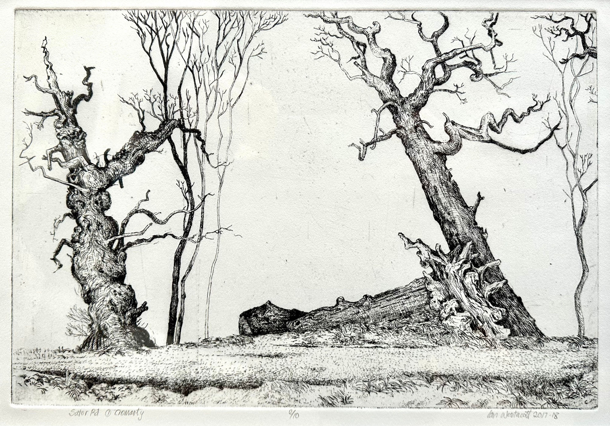 Ian Westacott, Sutor Road I Cromarty, 2017-18