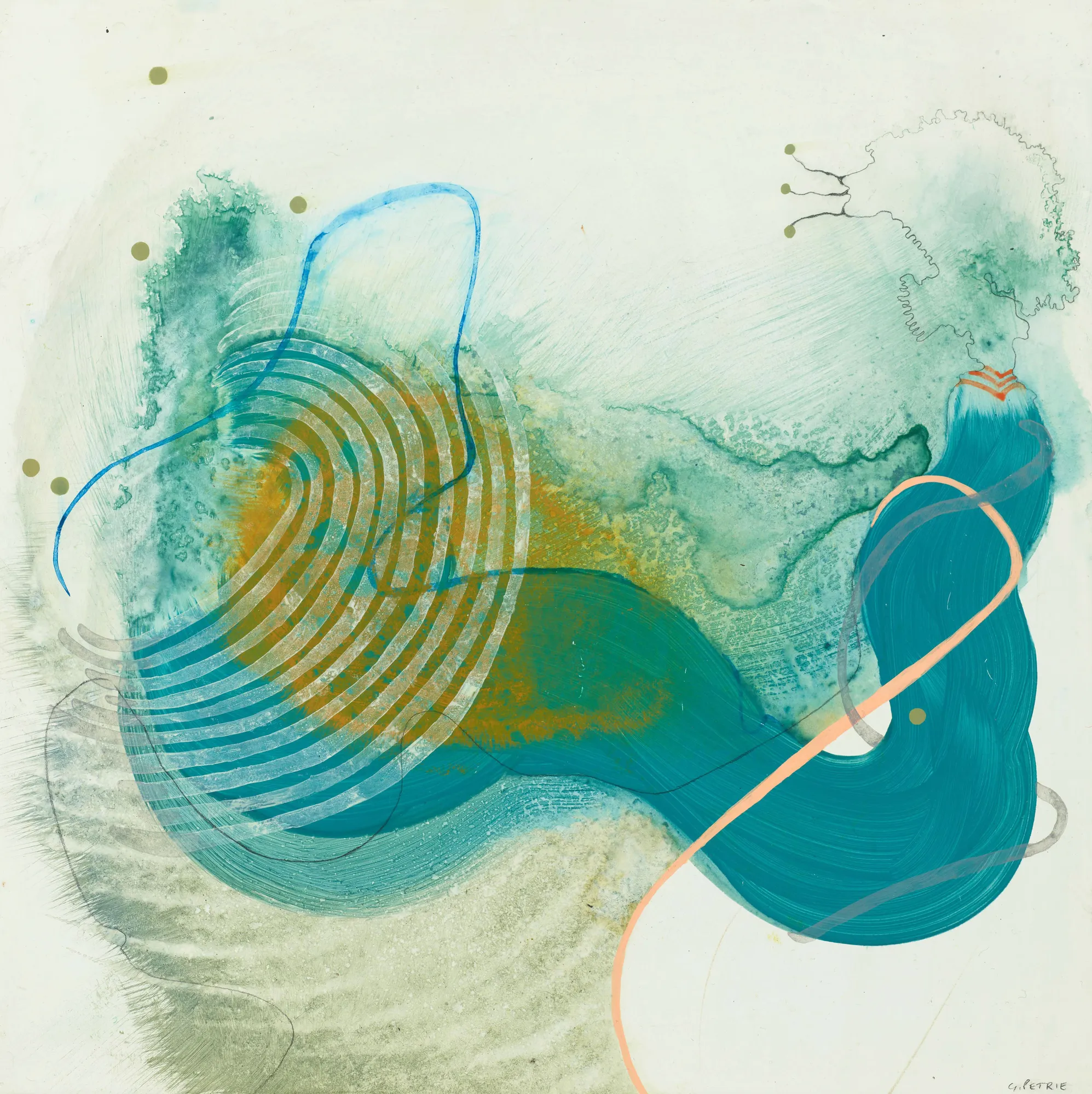 Gemma Petrie, Creatures of Habit XI