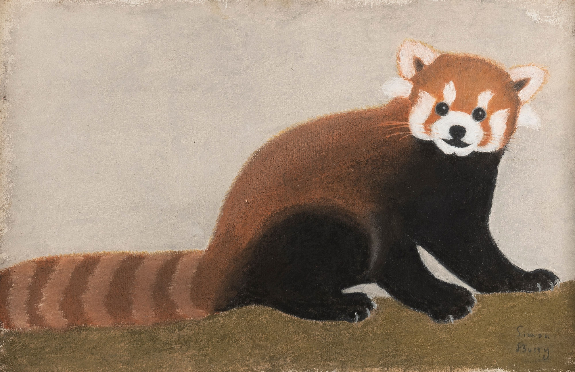 SIMON BUSSY, Red Panda