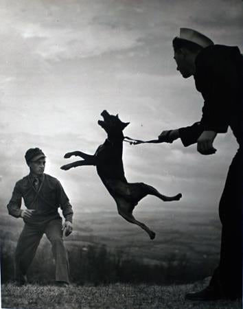 W. Eugene Smith, Untitled (Dog training), 1940