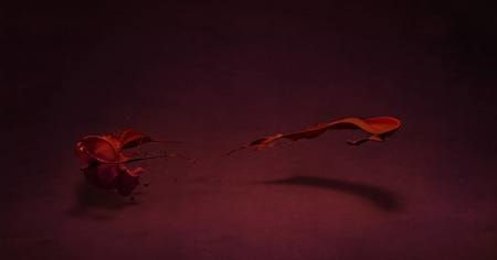 Shinichi Maruyama, Garden #1, 2010